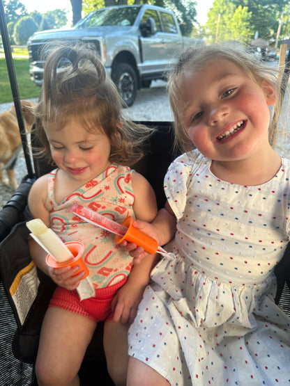 Popsicle Holder Variety Pack (4)