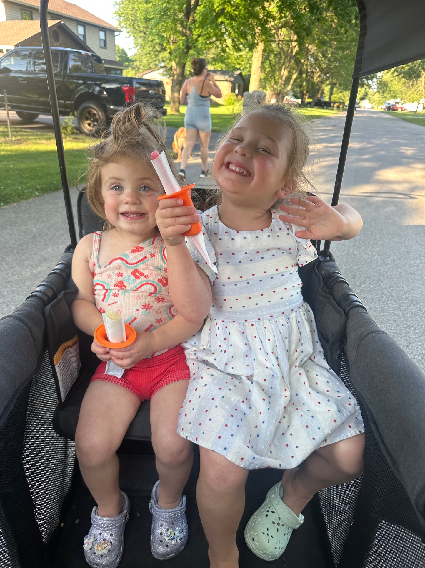 Popsicle Holder Variety Pack (4)